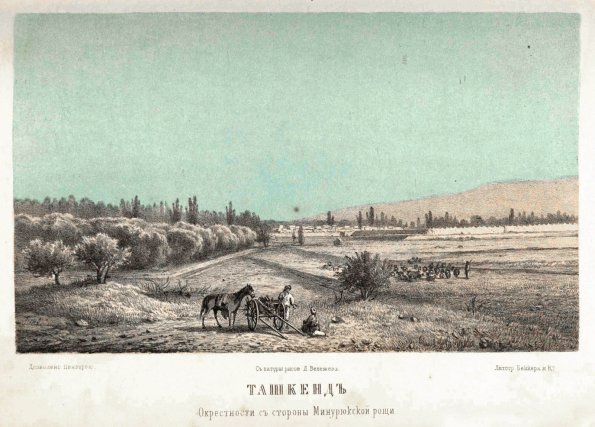 1866 Ташкент Вид со Стороны Минурюкской Рощи Рис Д Велижева