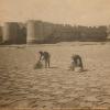 1900 Дата Неточная Бухара Сушка Каракуля