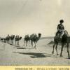 1950 Караван в Каракумах