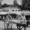 1966 Tashkent 12