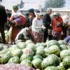 1970 Самарканд Продажа Арбузов в Старом Городе