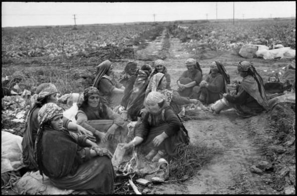 1972 Sovetskiy Turkmenistan Cabbage Collectors Turkmen Women 1